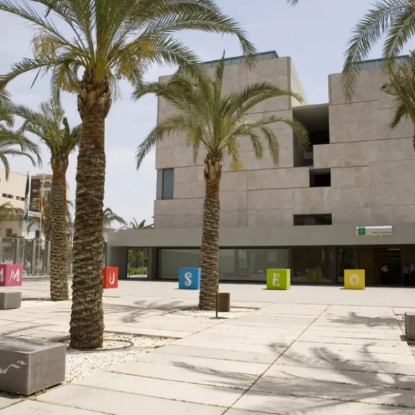 	
				Museo de Almería	
				