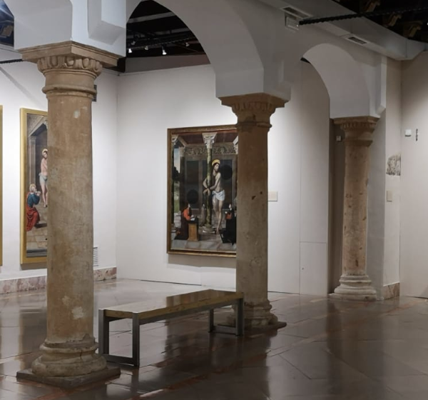 	
				Museo de Bellas Artes de Córdoba	
				