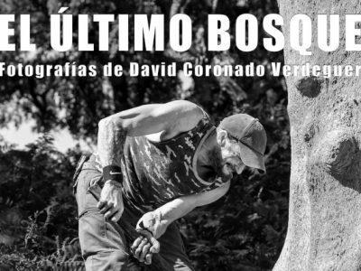 Andalucía de Museos y Exposiciones